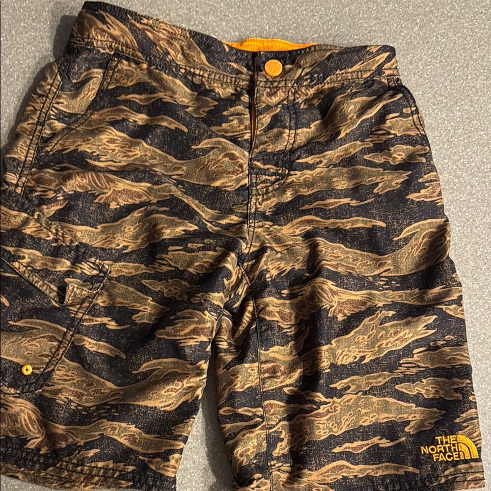 The North Face Tiger Stripe Shorts